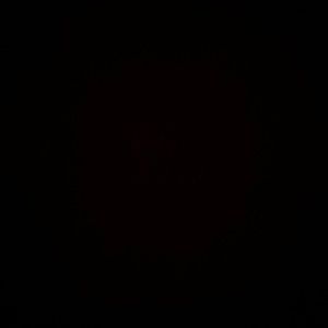 Meet your Posher, Sophia